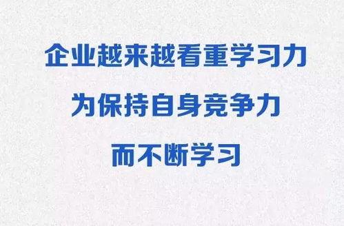 潜规则全书阅读 爆料热线,爆料热线背后的真相与智慧